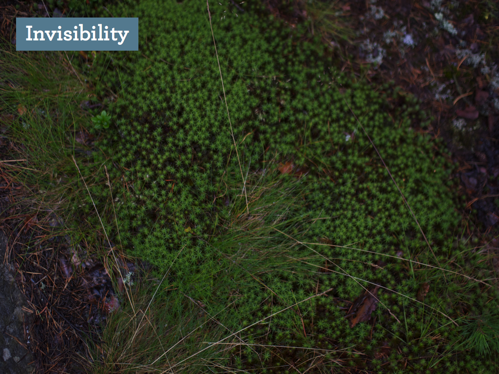 Means of Production PLAYFUL12.018